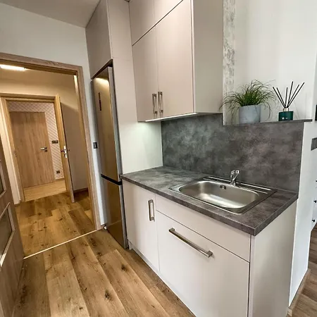 Apartment Duskova - Karolina *